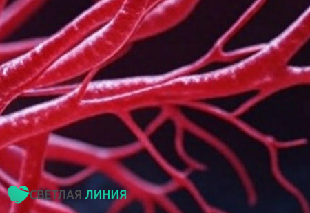 Сосуды человека